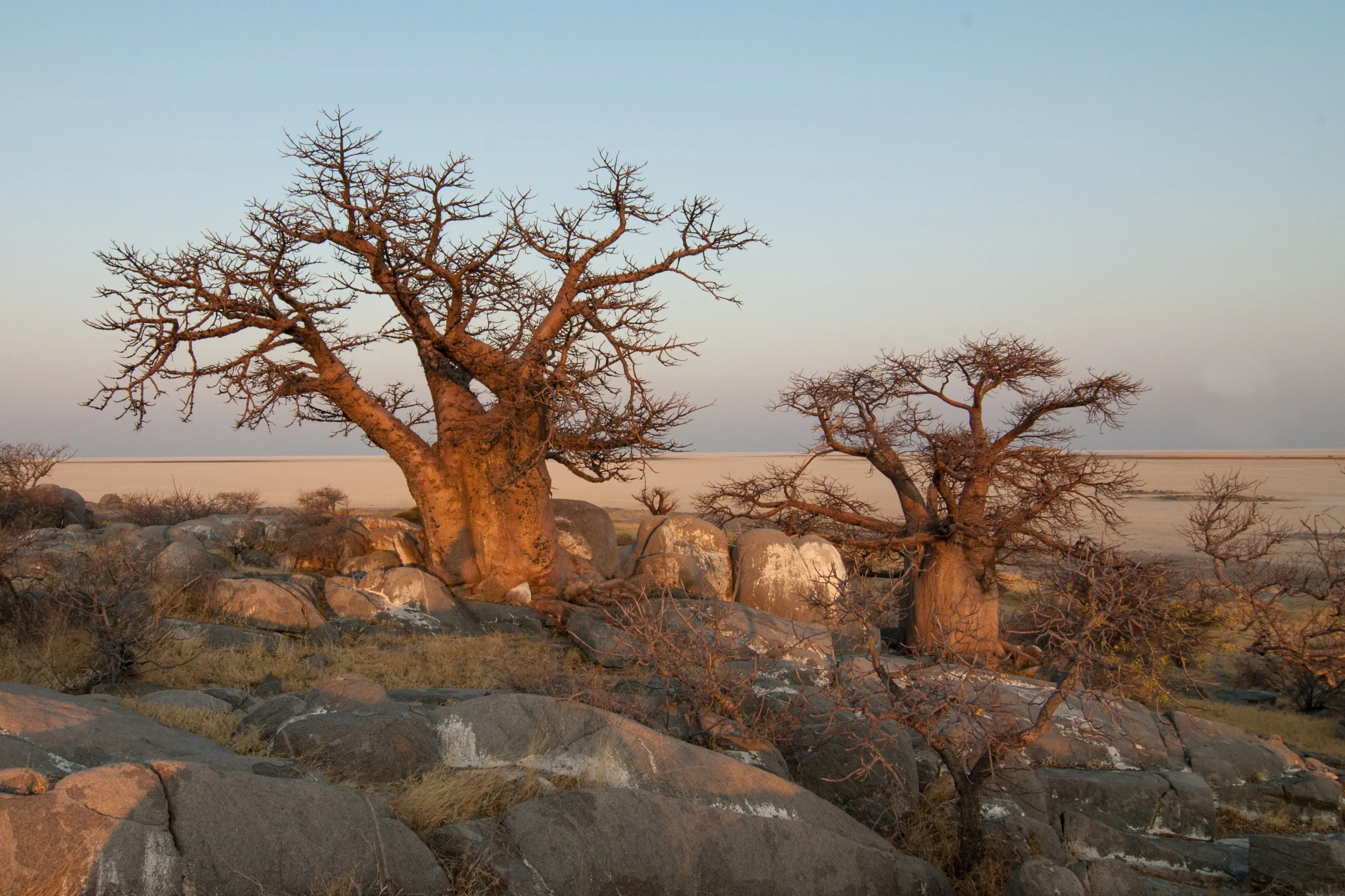 Weaving your finest journeys across Madagascar